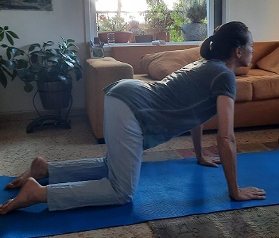 cat and camel stretch for back pain
