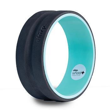 chirp wheel
