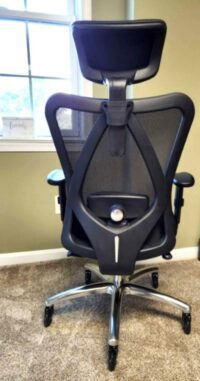 duramont office chair - Adjustable lumbar support and headrest