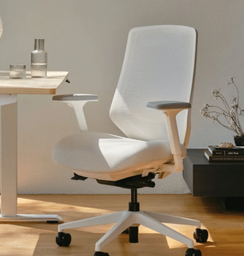 branch ergonomc chair pro home office setting