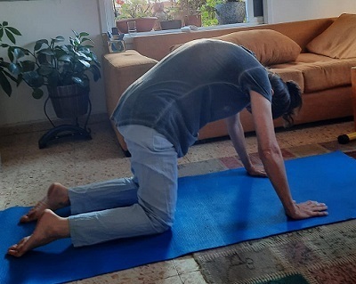 cat and camel stretch at home