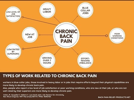work related back pain statistics types of work that cause most back pain cases